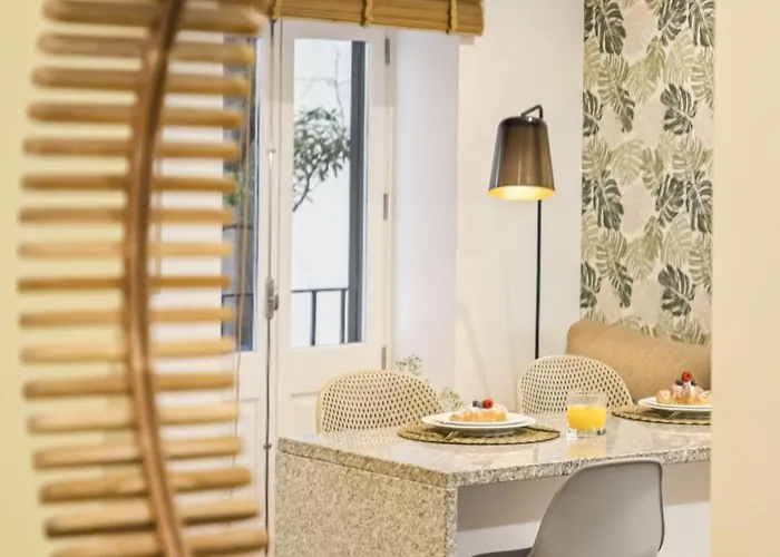 Tropical By Homie 丰沙尔